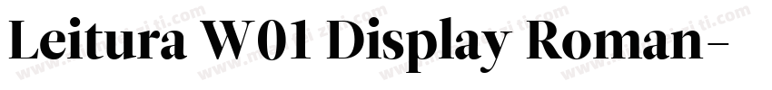 Leitura W01 Display Roman字体转换